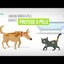 Syntec Peroíla · video oficial de Syntec do Brasil