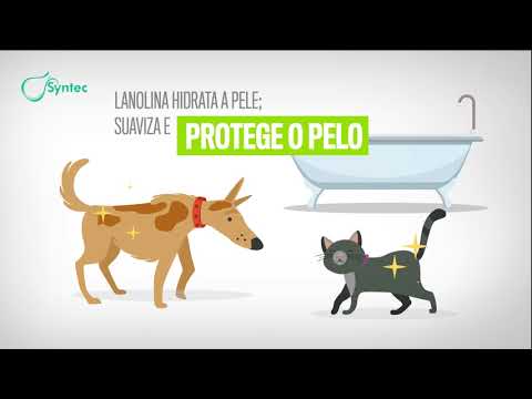 Syntec Peroíla · video oficial de Syntec do Brasil
