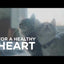 Hill's Science Diet Kitten Ocean Fish & Brown Rice Recipe, alimento seco para gatitos · video oficial de Hill's Pet Nutrition Australia and New Zealand