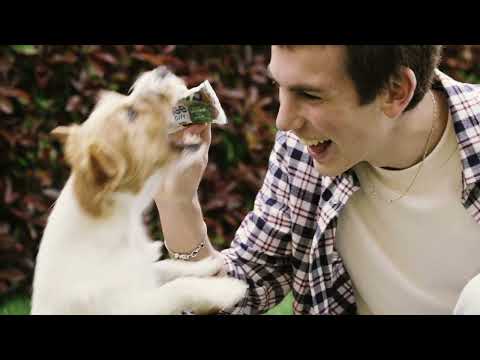 Monge Gift Meat Bars Immunity Support conejo · video oficial de Monge