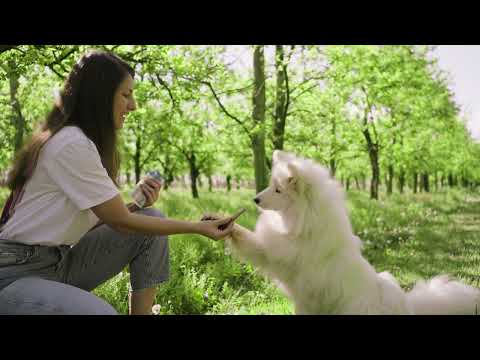 Monge Gift Sticks Immunity Support conejo · video oficial de Monge