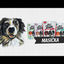 Brit Let’s Bite Meat Snacks Salmon Bars · video oficial de BRIT PetFood