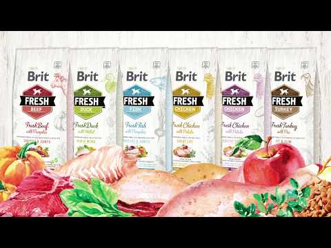 Brit Fresh · video oficial de BRIT PetFood