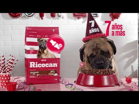 Ricocan | Edad Avanzada 7+ años sabor carne, todas las razas