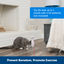 Bolt Automatic Laser Light Cat Toy