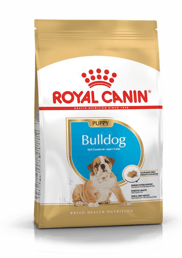 ROYAL CANIN | Alimento seco para perros cachorro Bulldog inglés