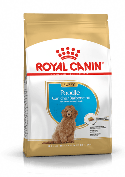 ROYAL CANIN | Alimento seco para perros cachorros Poodle