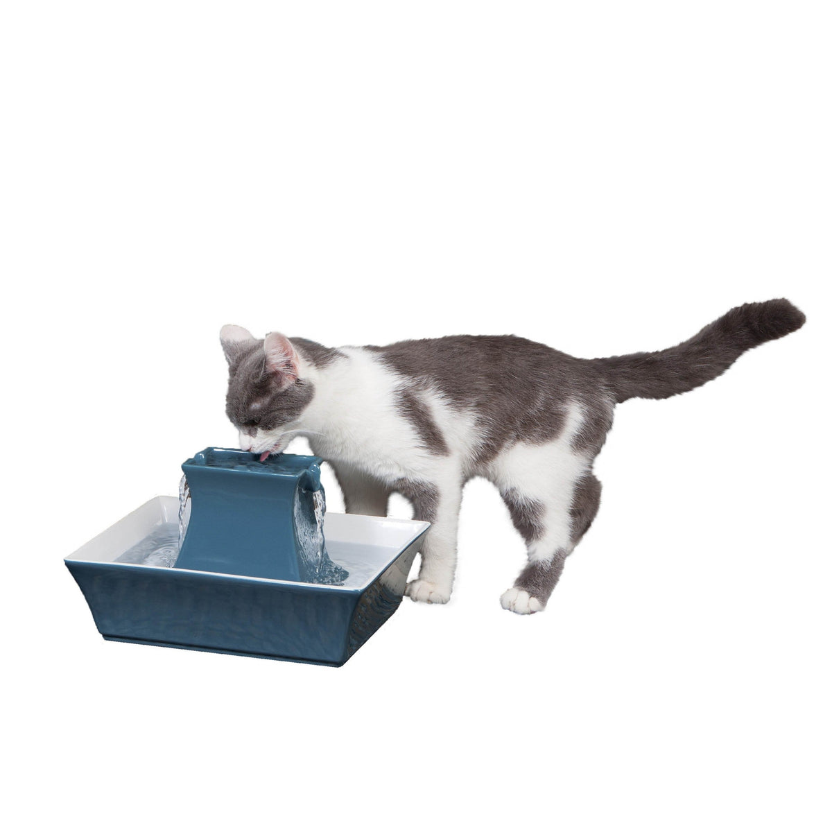 Drinkwell® Pagoda Fountain