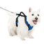 EasySport Harness