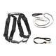 Easy Walk® 3 in 1 Harness with Two Point Control Leash