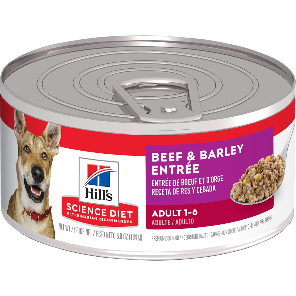 Hill's Science Diet | Alimento húmedo para perros adultos. Receta de carne de res y cebada (Pack de 6 latas de 369 g)