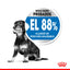 RC-CCN-MiniLight-CV-2-es_ES