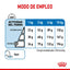 RC-CCN-MiniLight-CV-6-es_ES