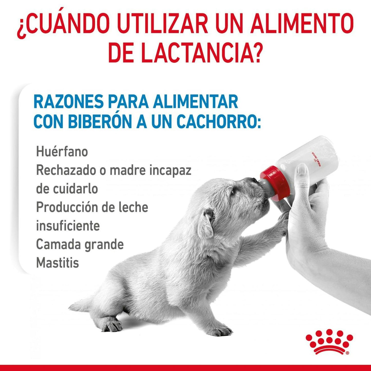RC-CHN-BabydogMilk-400-CV-2-es_ES.pdf