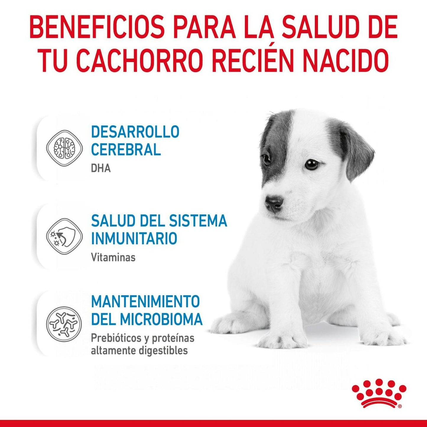 RC-CHN-BabydogMilk-400-CV-4-es_ES.pdf