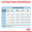 RC-CHN-BabydogMilk-400-CV-6-es_ES.pdf