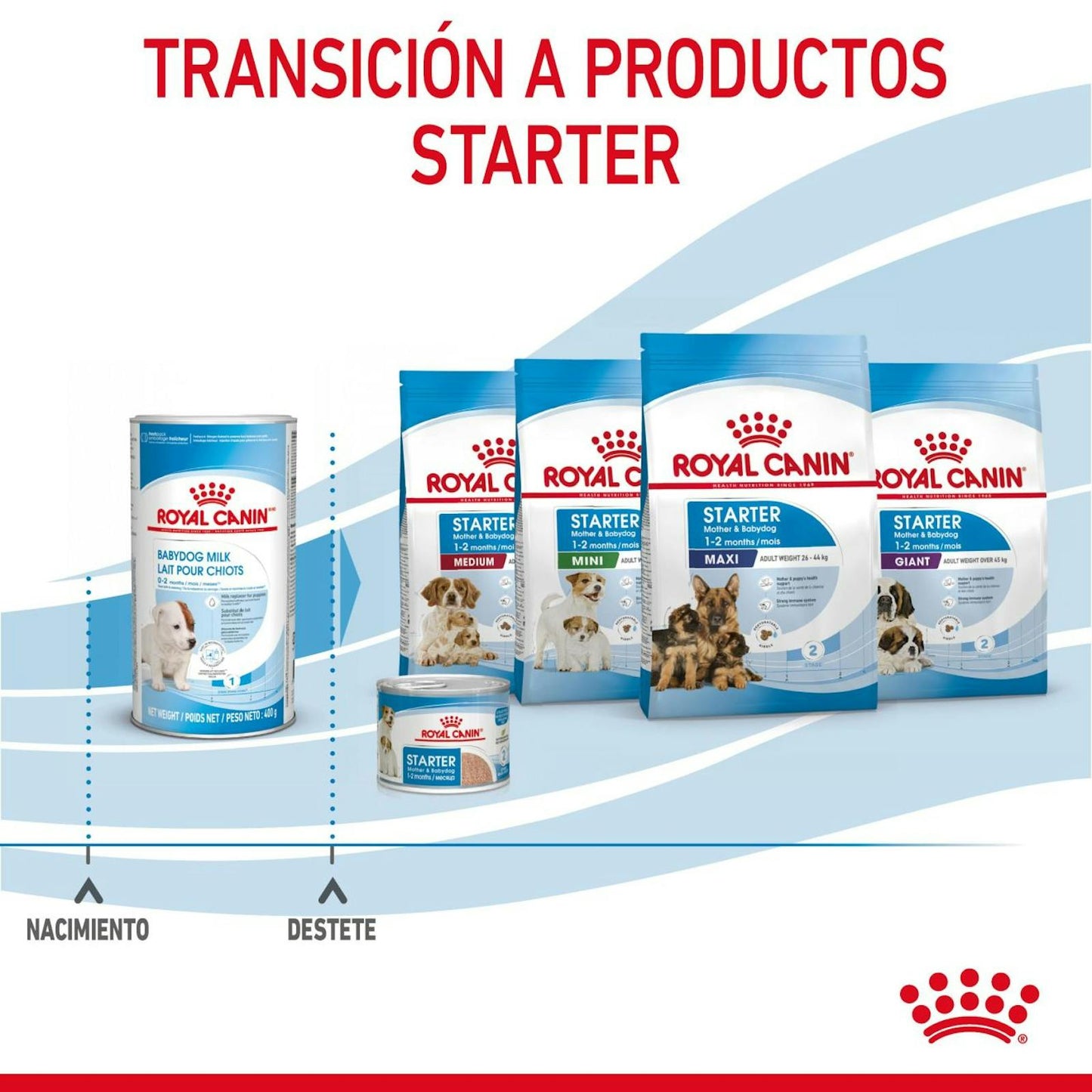 RC-CHN-BabydogMilk-400-CV-8-es_ES.pdf