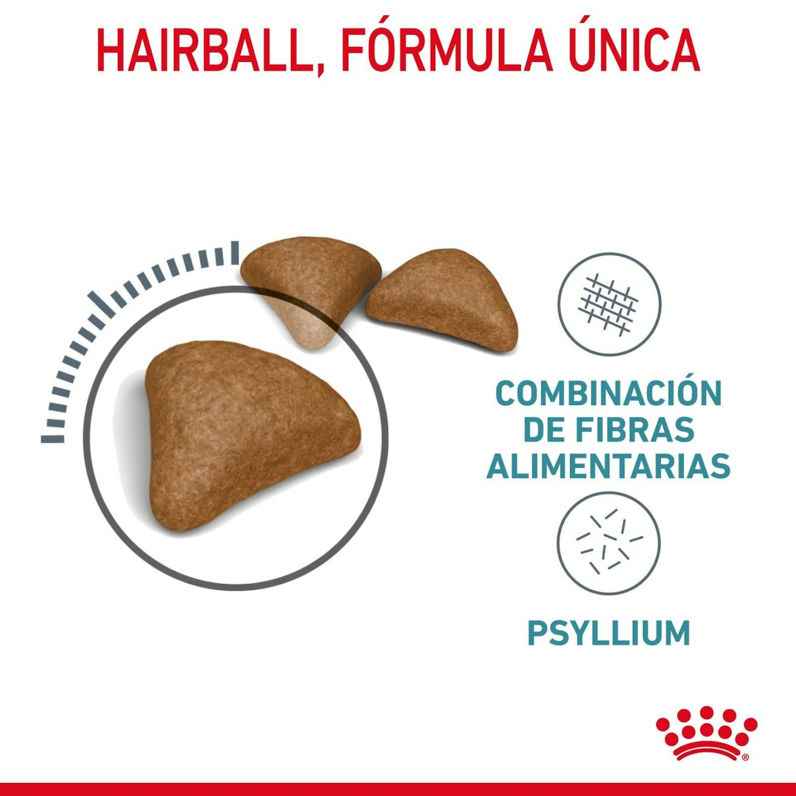 RC-FCN-HairballCare-CV-2-es_ES