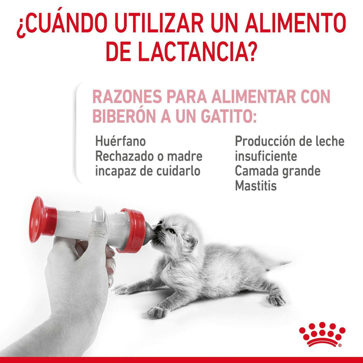 RC-FHN-BabycatMilk-CV-2-es_ES.pdf