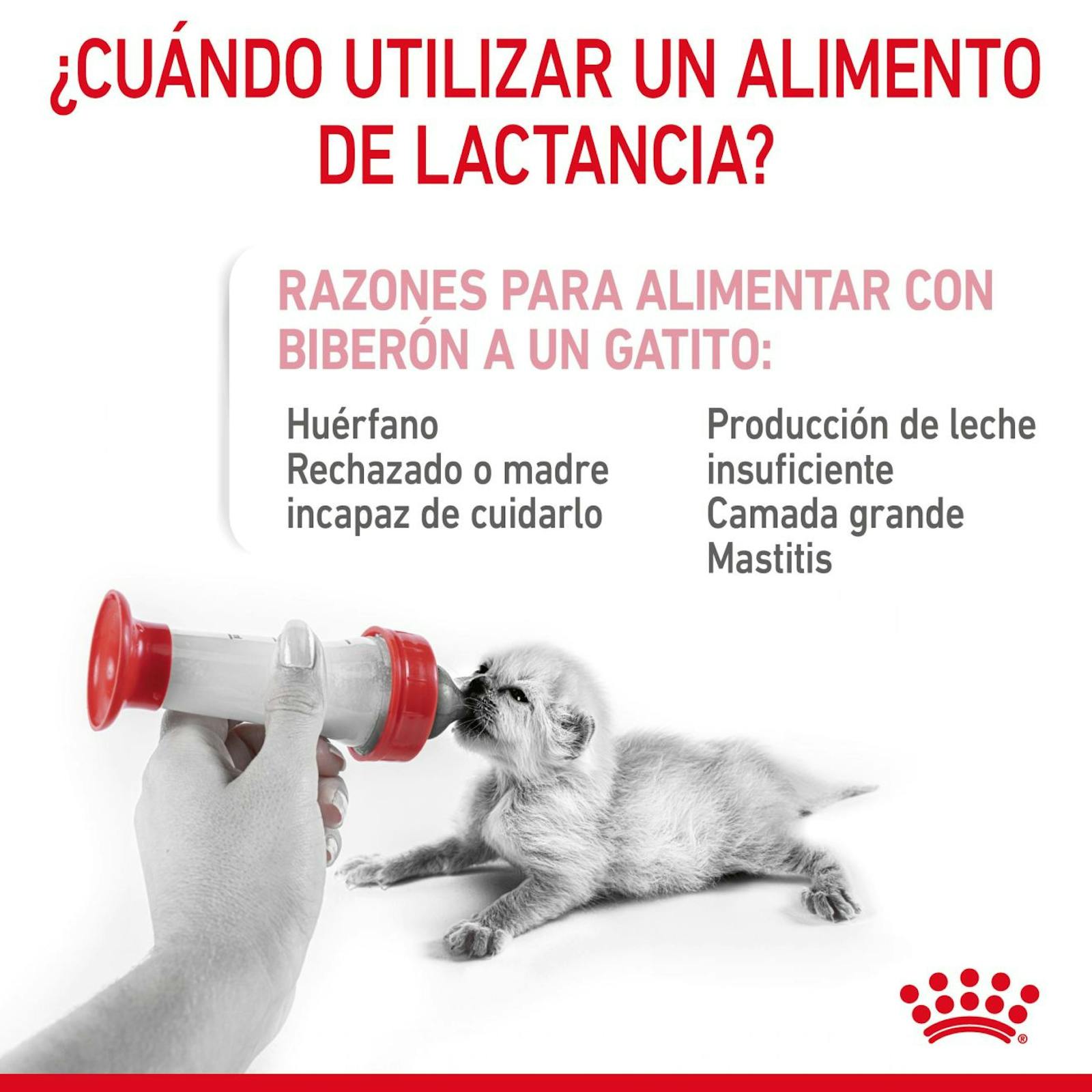 RC-FHN-BabycatMilk-CV-2-es_ES.pdf