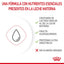 RC-FHN-BabycatMilk-CV-3-es_ES.pdf