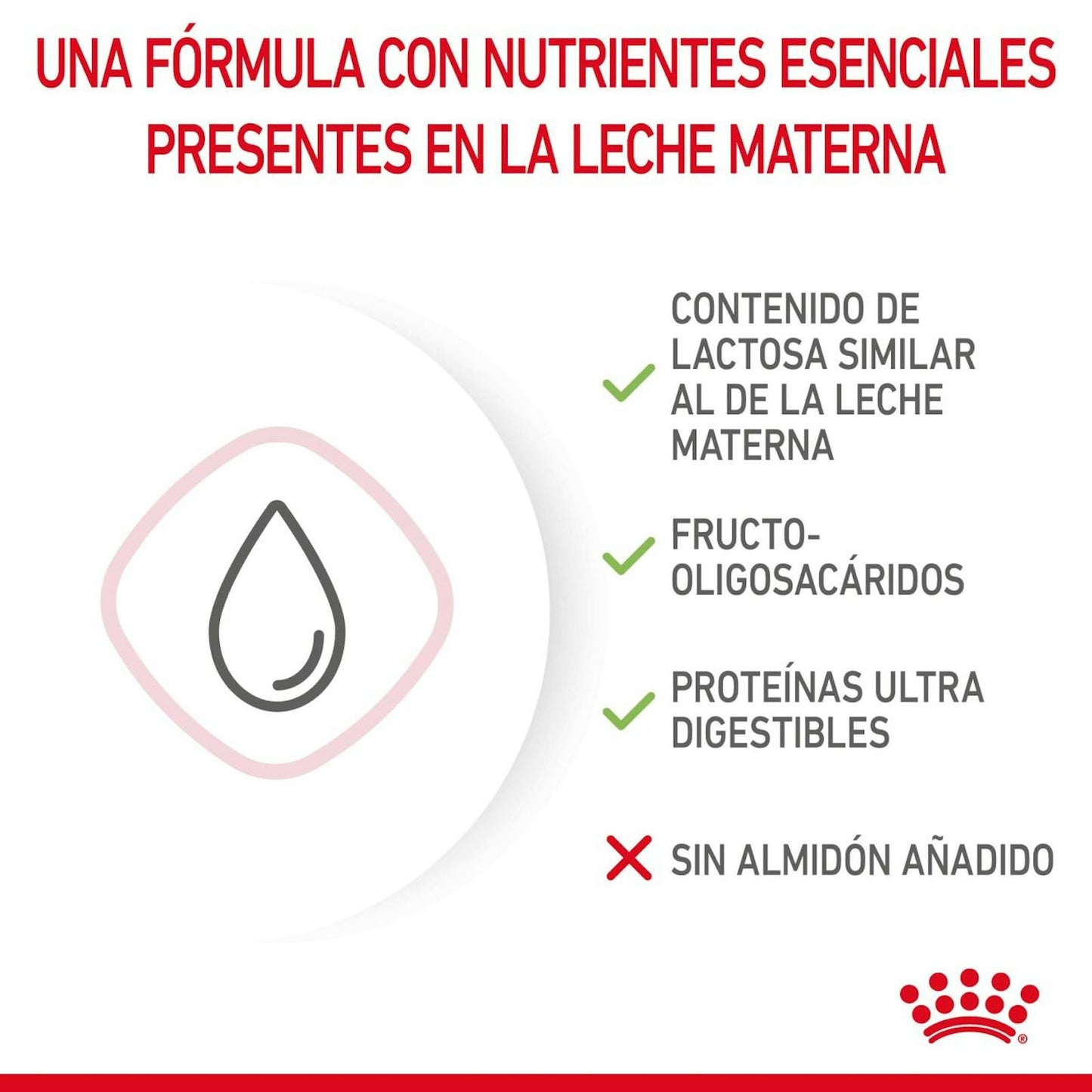 RC-FHN-BabycatMilk-CV-3-es_ES.pdf