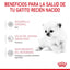 RC-FHN-BabycatMilk-CV-4-es_ES.pdf