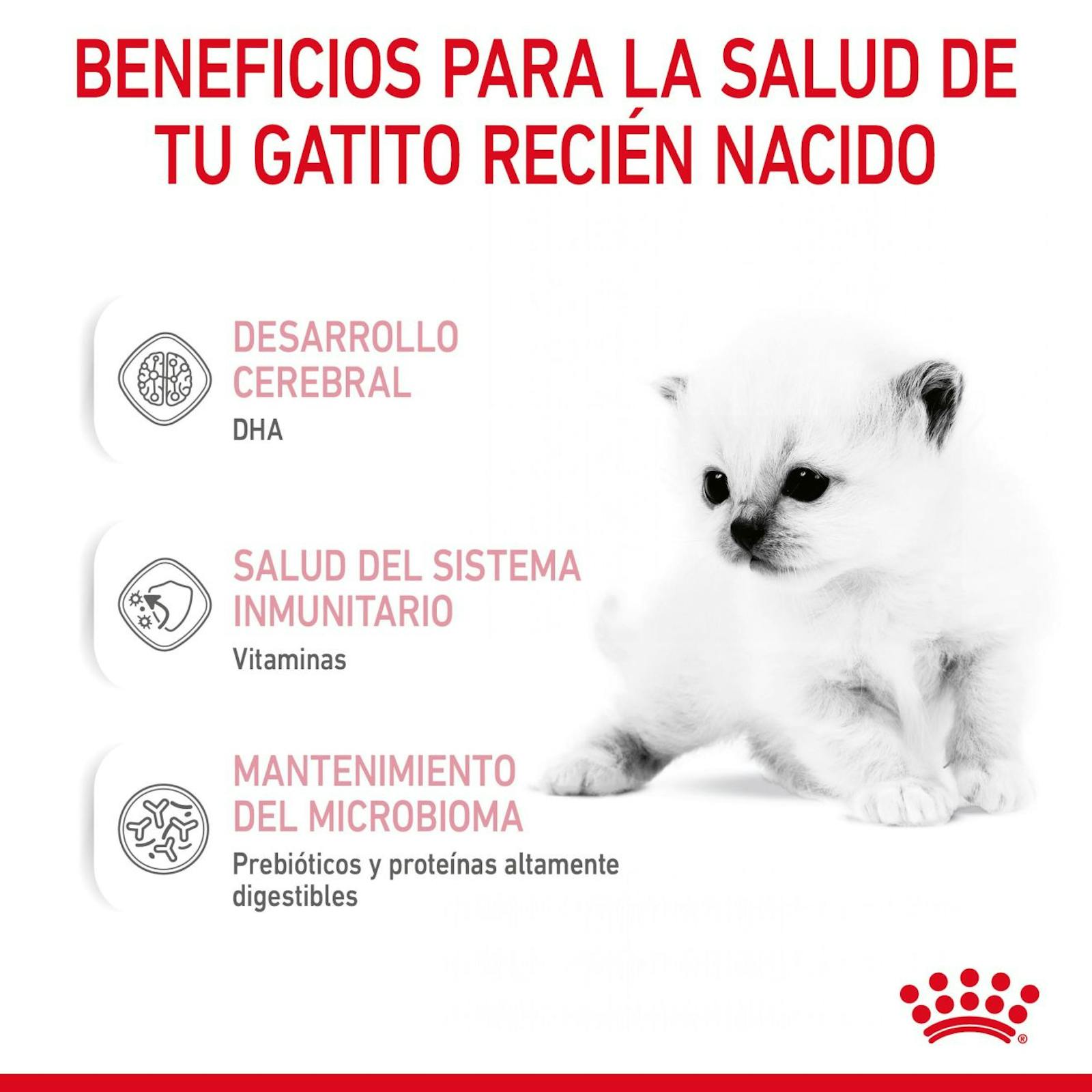 RC-FHN-BabycatMilk-CV-4-es_ES.pdf