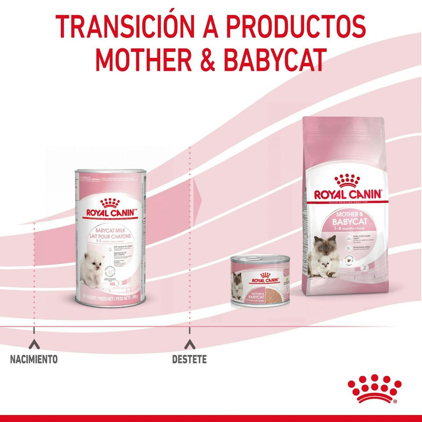 RC-FHN-BabycatMilk-CV-8-es_ES.pdf