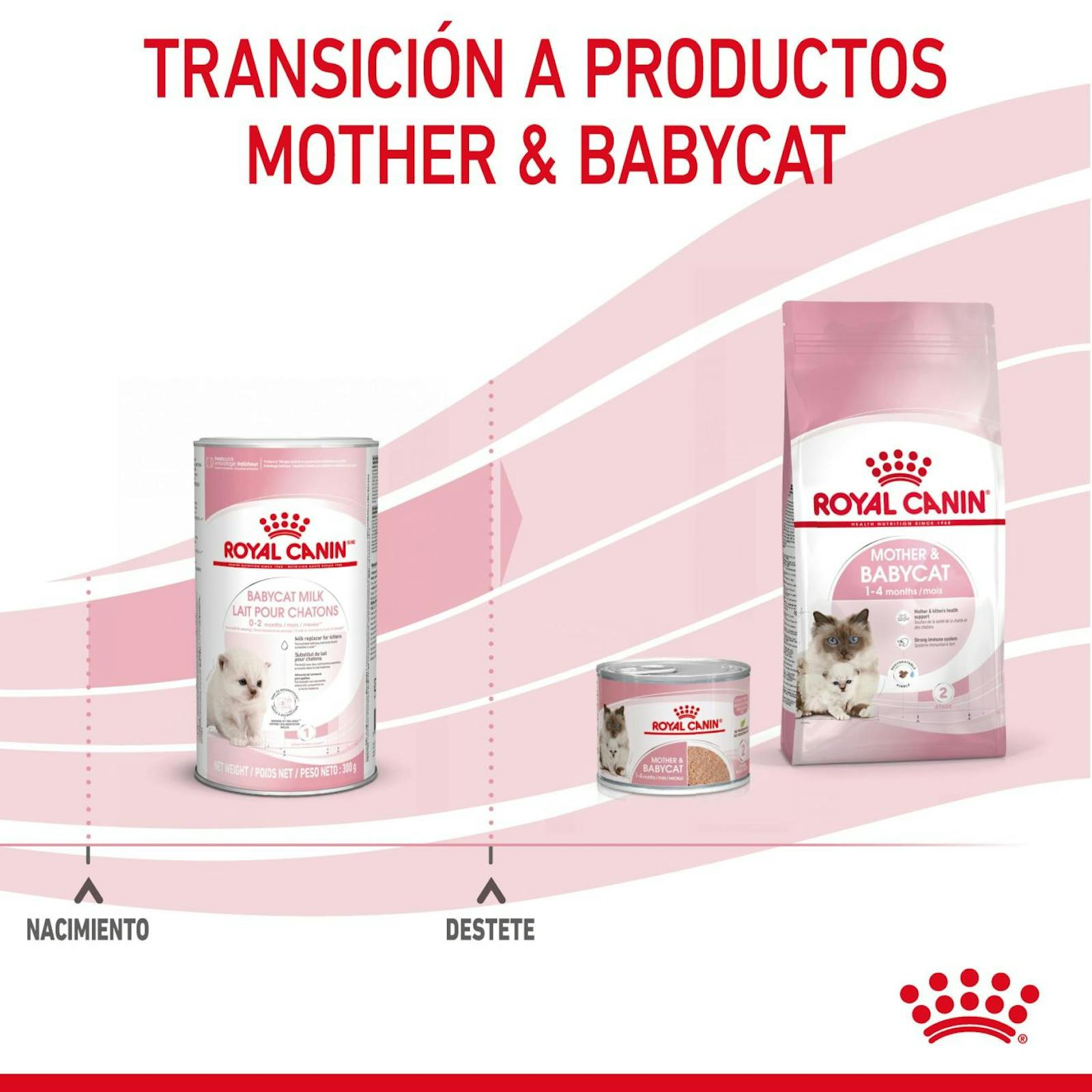 RC-FHN-BabycatMilk-CV-8-es_ES.pdf