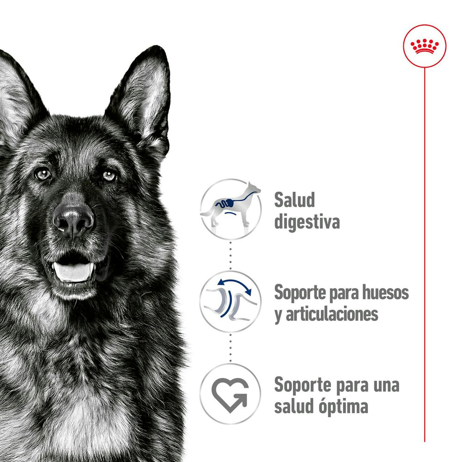 RC-SHN-MaxiAdult-Pouch-CV-1-es_ES.pdf