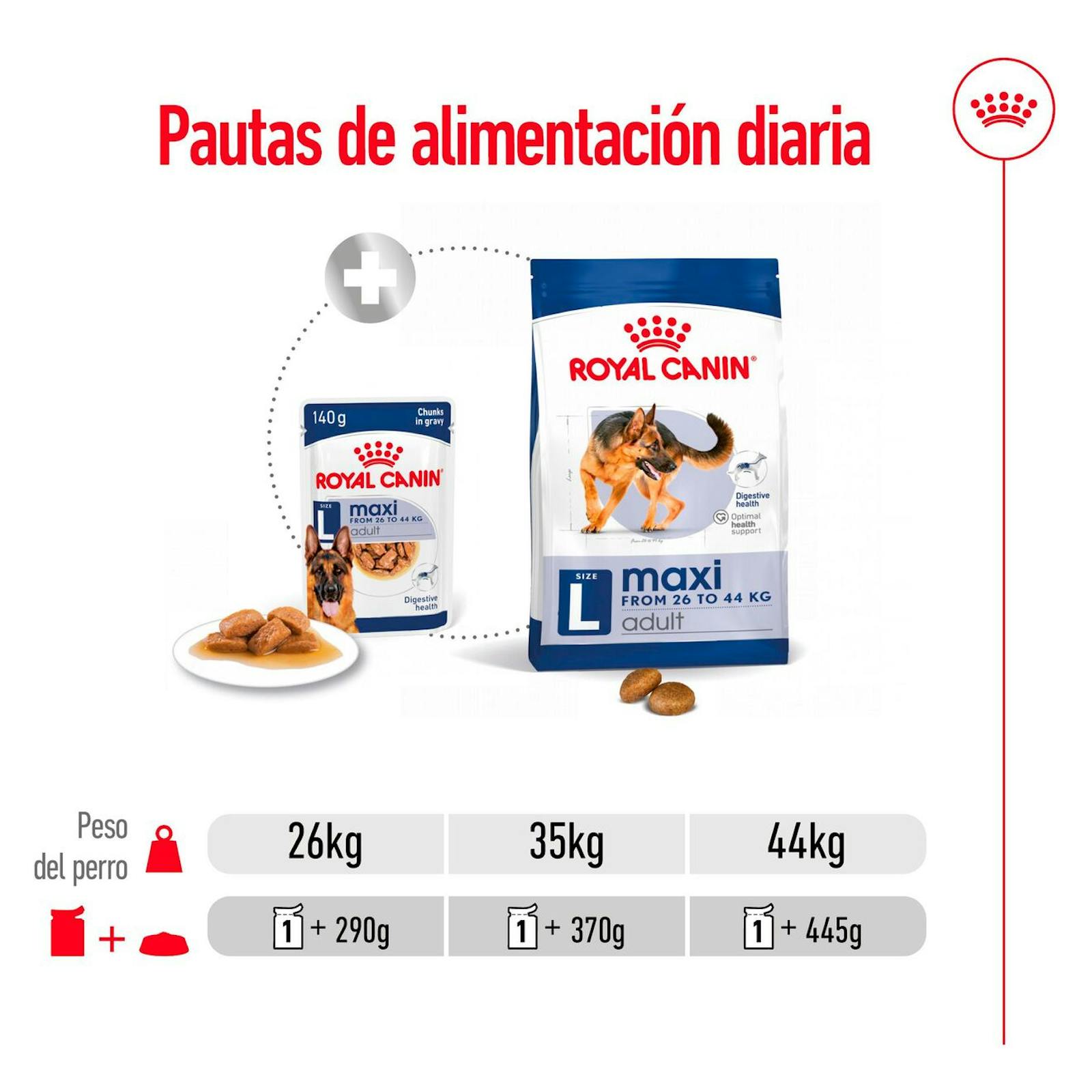 RC-SHN-MaxiAdult-Pouch-CV-5-es_ES.pdf