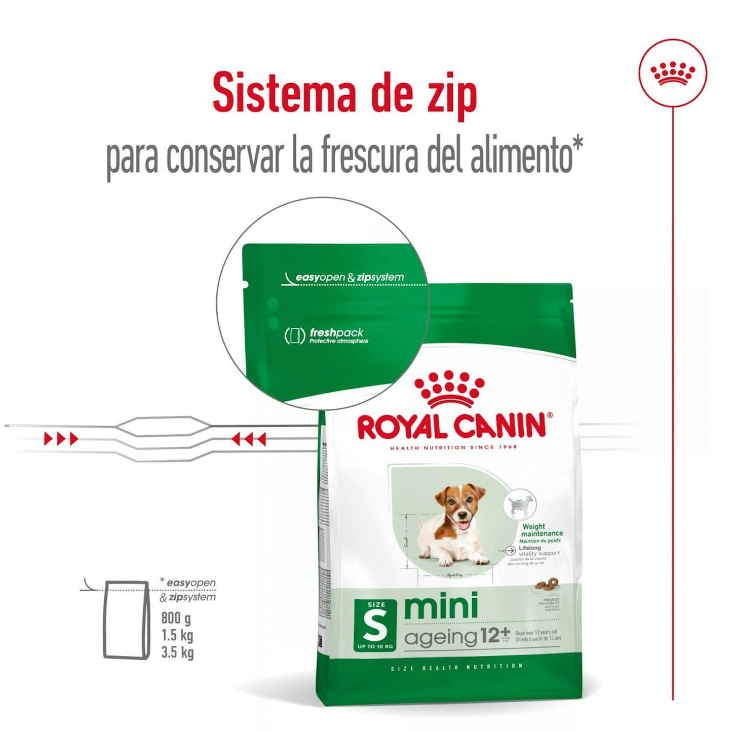 RC-SHN-MiniAgeing12-CV-12-es_ES.pdf