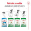 RC-SHN-MiniAgeing12-CV-4-es_ES.pdf