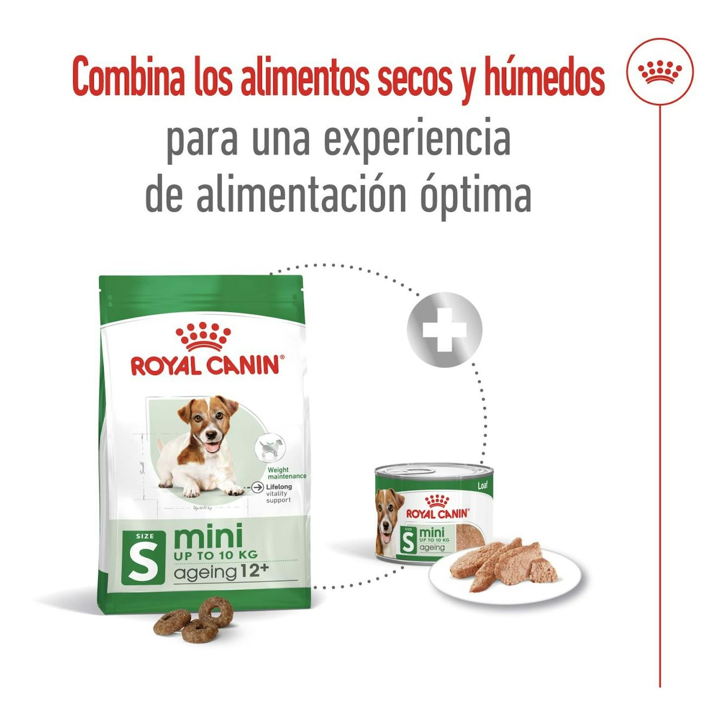 RC-SHN-MiniAgeing12-CV-6-es_ES.pdf