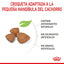 ROYAL CANIN | Alimento seco para perros cachorros de razas muy pequeñas