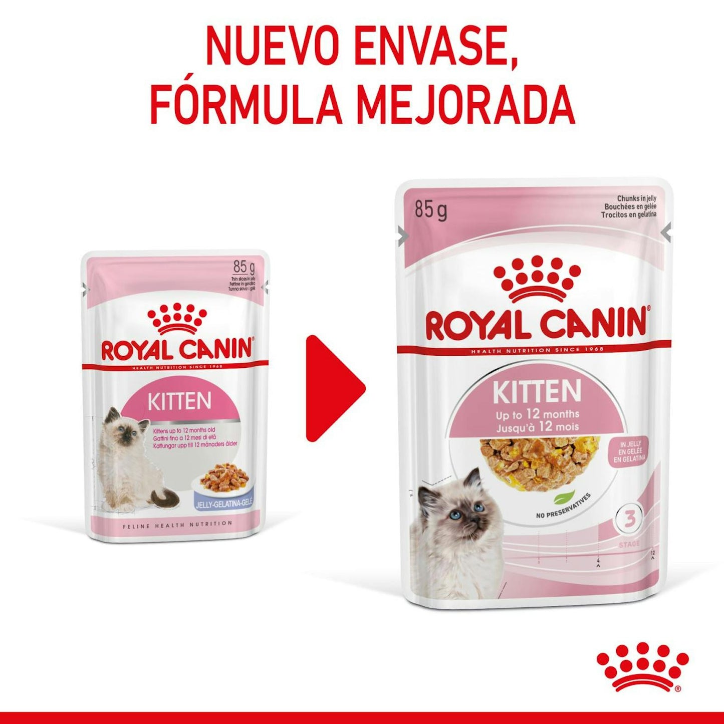 RC-SPT-WET-Kitten-CIJ-CV-1-es_ES (1)