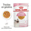 RC-SPT-WET-Kitten-CIJ-MV-1-es_ES