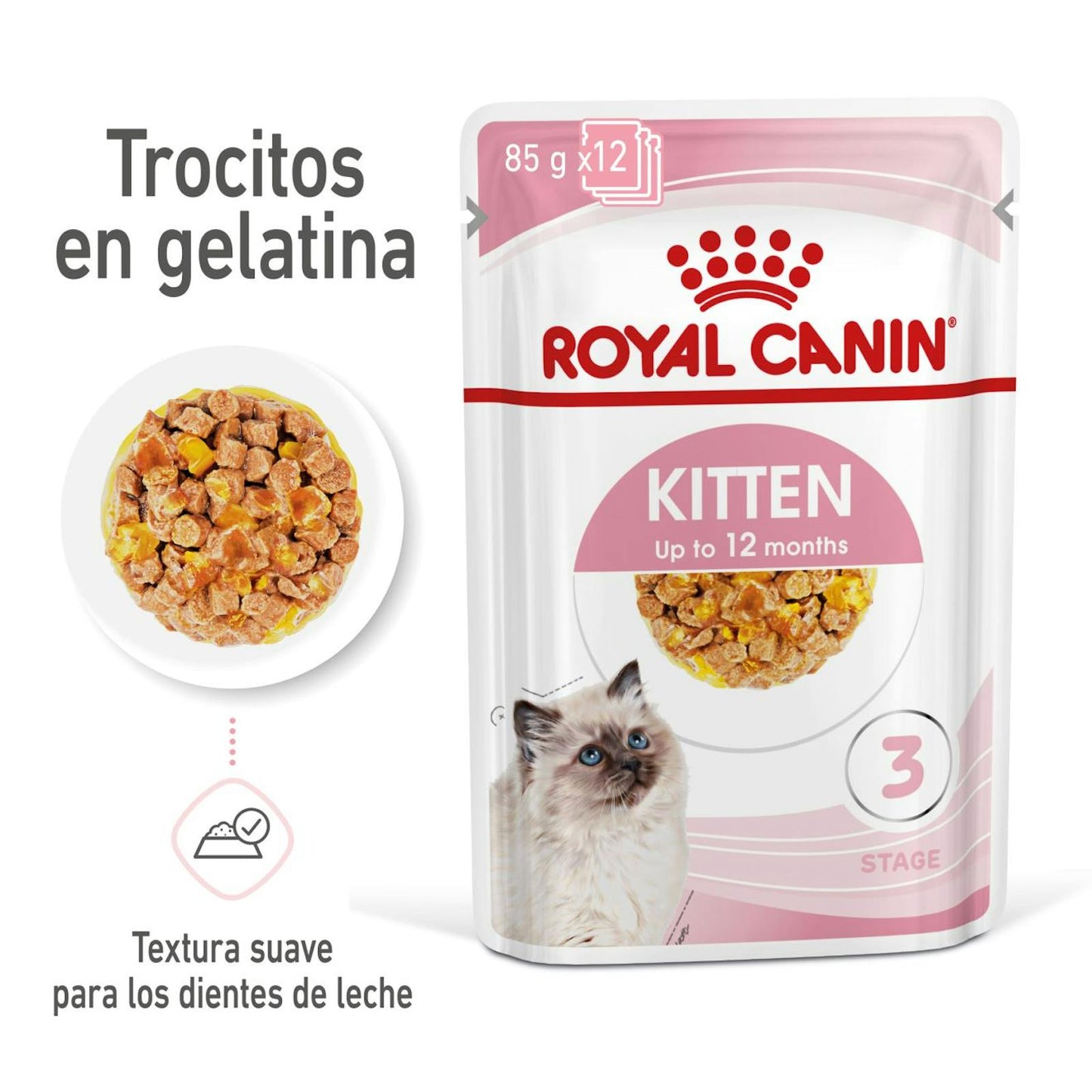 RC-SPT-WET-Kitten-CIJ-MV-1-es_ES
