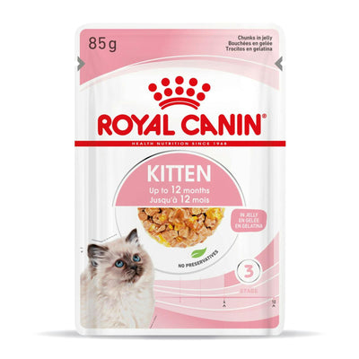 RC-SPT-WET-Kitten-CIJ-MV-3-es_ES