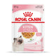 RC-SPT-WET-Kitten-CIJ-MV-3-es_ES