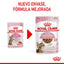 RC-SPT-WET-KittenSter-CIG-CV-1-es_ES