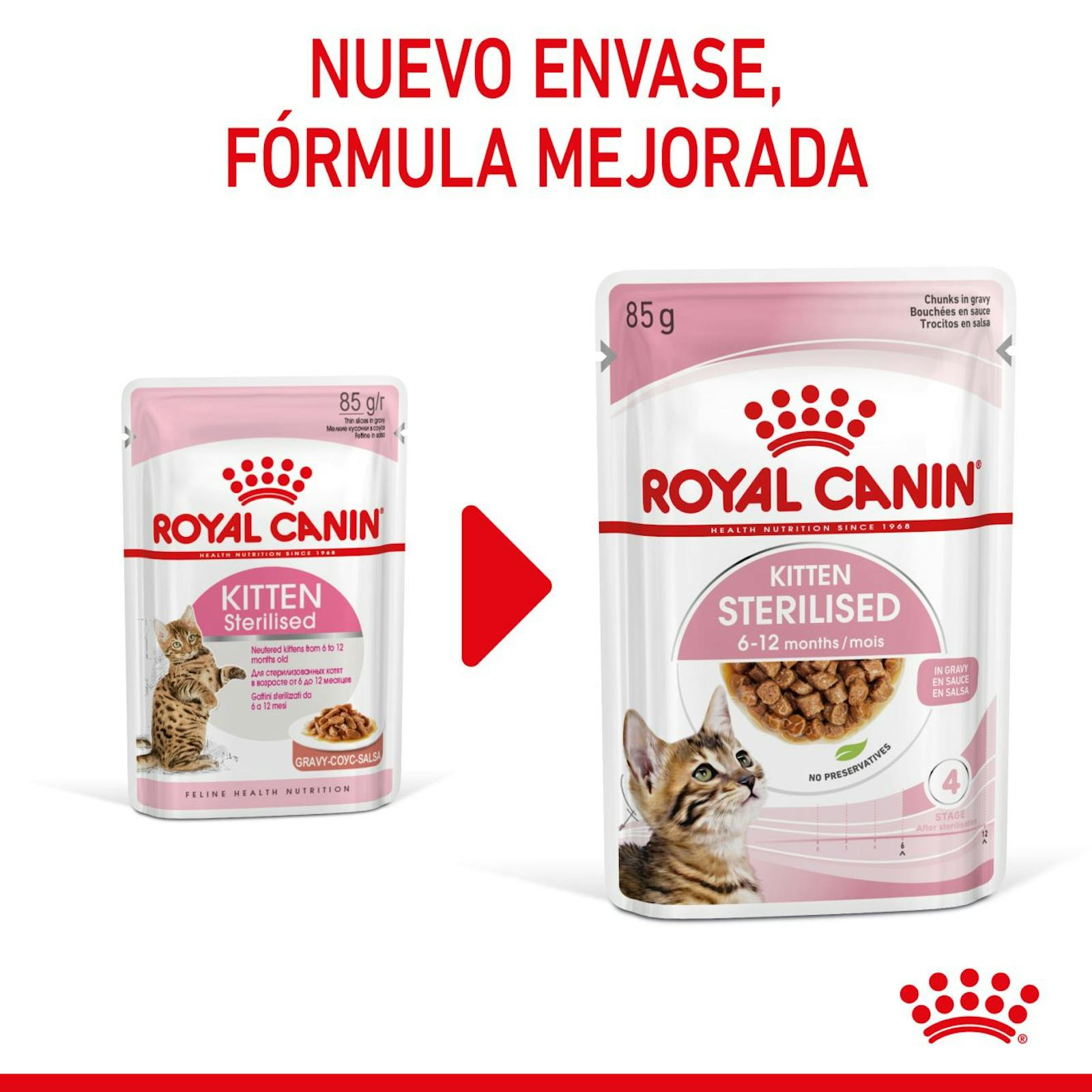 RC-SPT-WET-KittenSter-CIG-CV-1-es_ES