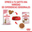 RC-SPT-WET-KittenSter-CIG-CV-4-es_ES