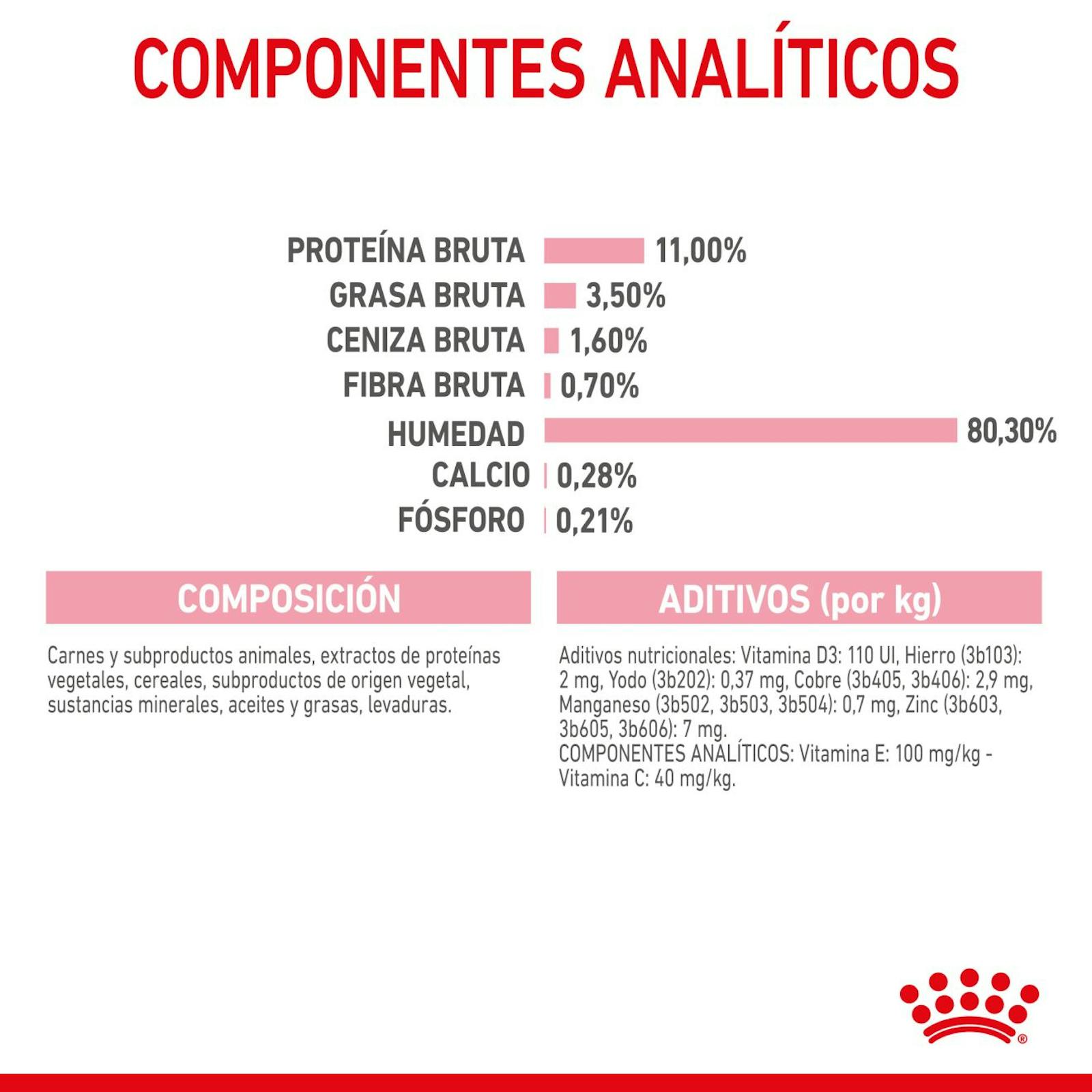 RC-SPT-WET-KittenSter-CIG-CV-5-es_ES