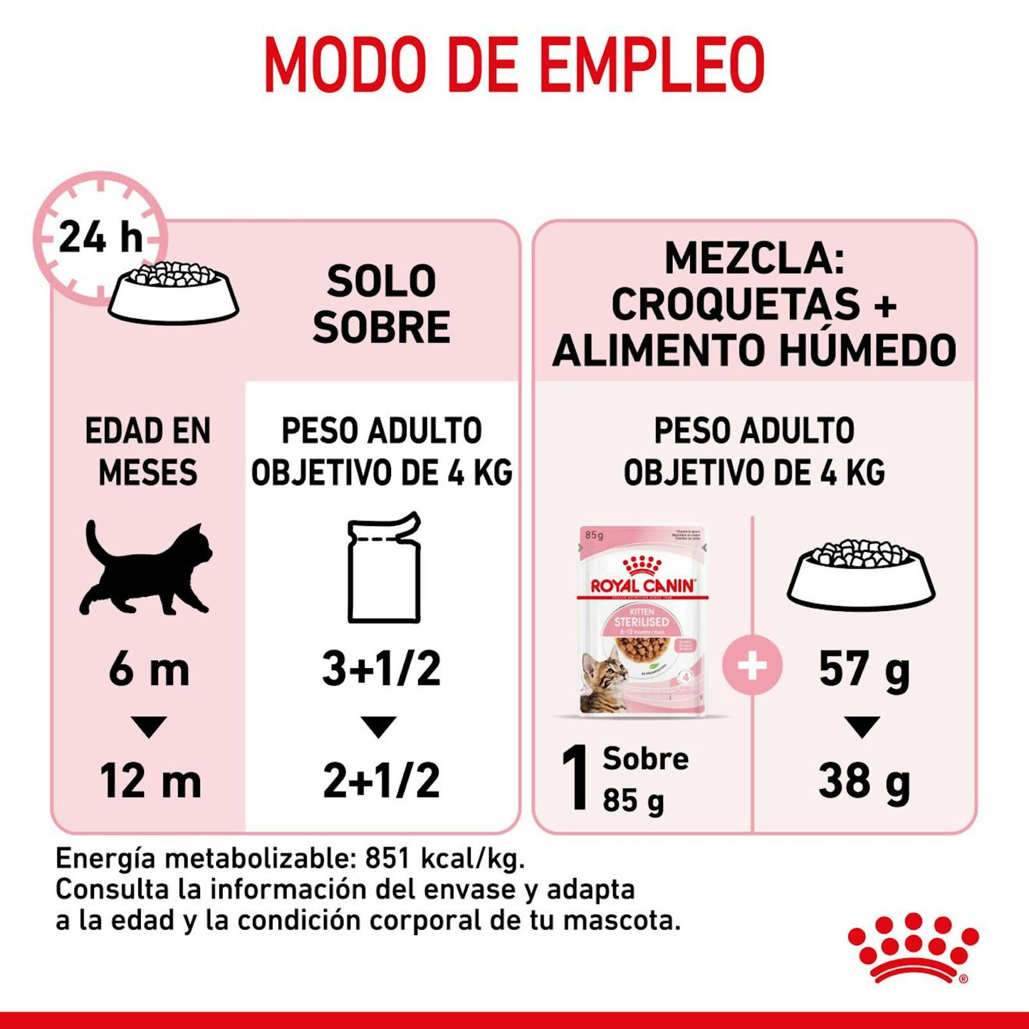 RC-SPT-WET-KittenSter-CIG-CV-7-es_ES