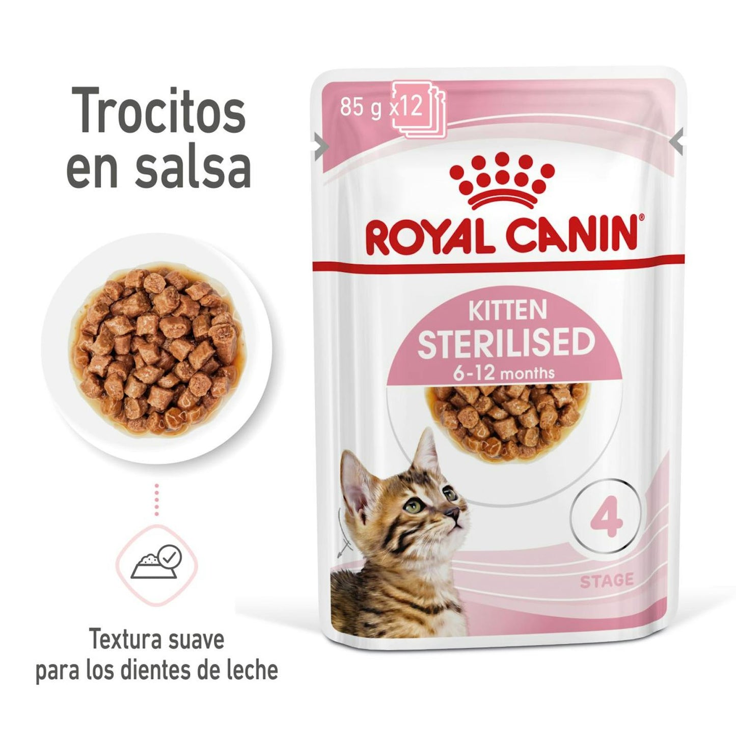RC-SPT-WET-KittenSter-CIG-MV-1-es_ES (1)