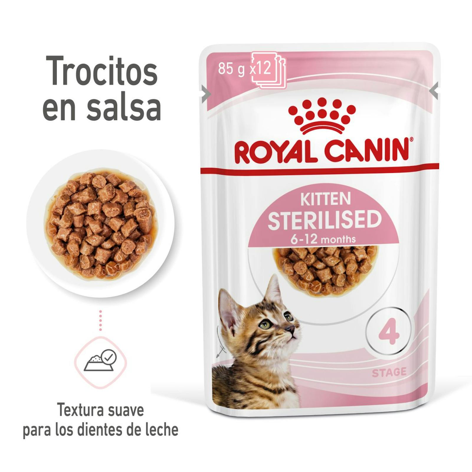 RC-SPT-WET-KittenSter-CIG-MV-1-es_ES (1)