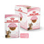 RC-SPT-WET-KittenSter-CIG-MV-2-es_ES