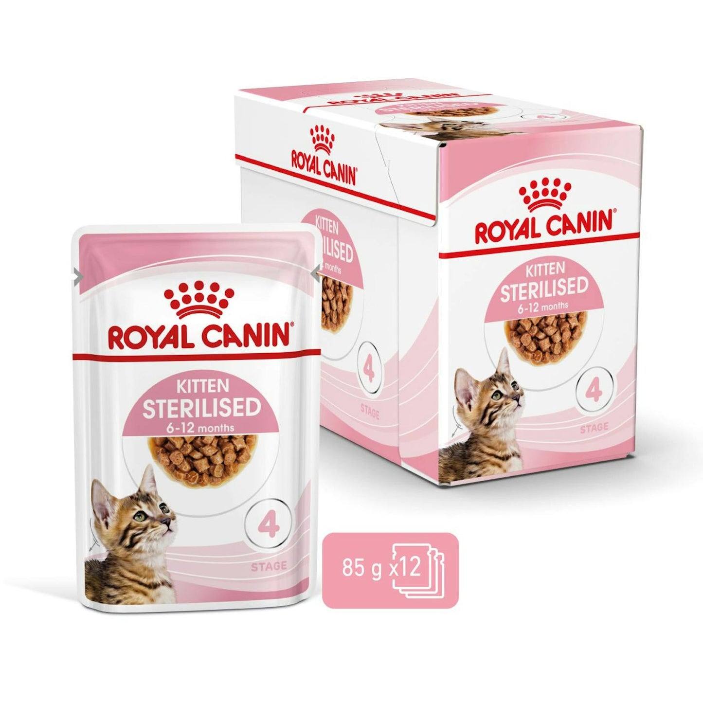 RC-SPT-WET-KittenSter-CIG-MV-2-es_ES